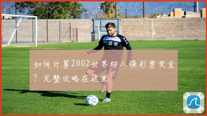 如何计算2002世界杯八强彩票奖金?完整攻略在这里