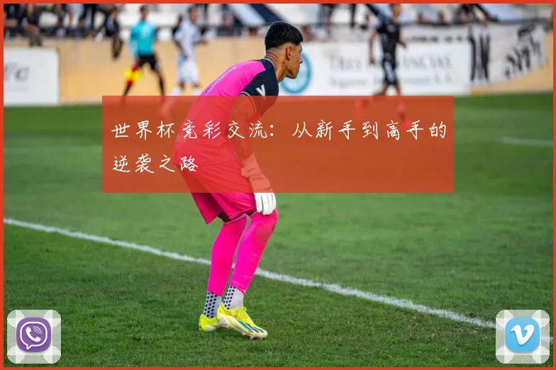 世界杯竞彩交流：从新手到高手的逆袭之路