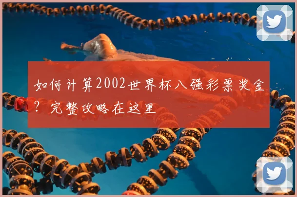 如何计算2002世界杯八强彩票奖金?完整攻略在这里