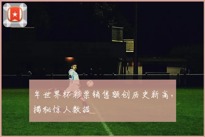 年世界杯彩票销售额创历史新高,揭秘惊人数据