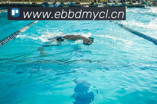 mksports官方登录入口发展历程